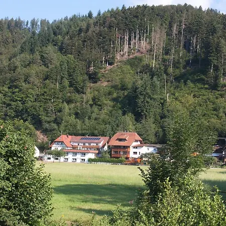 Ferienwohnung am Rain Winden im Elztal Exterior foto