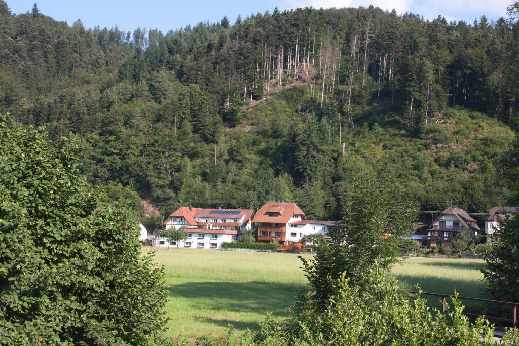Apartment Am Rain Winden im Elztal