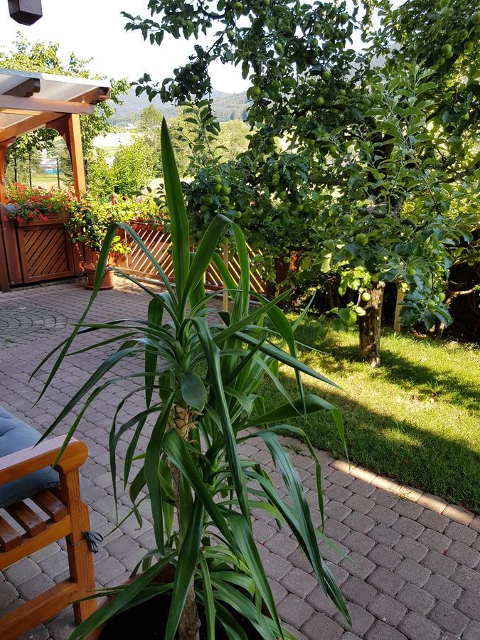 Am Rain Apartment Winden im Elztal